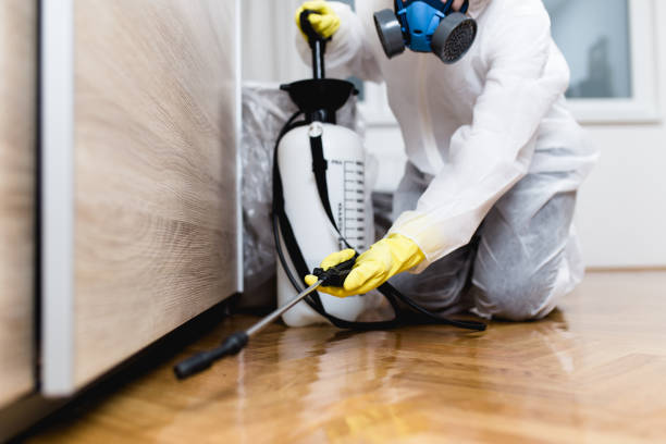 Best Pest Control Treatment  in Heyville, AL