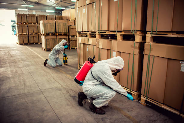 Best Termite Control Services  in Heyville, AL