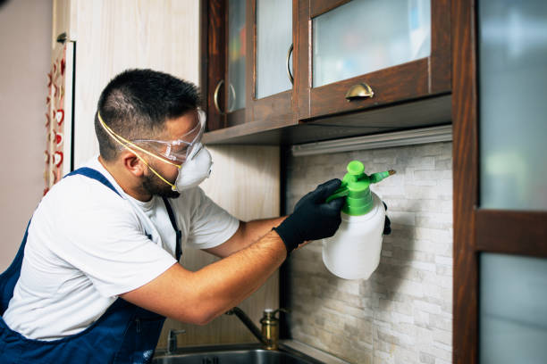 Best Best Pest Control Companies  in Heyville, AL