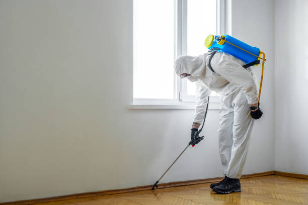 Pest Control Cost in Haleyville, AL