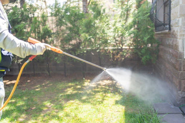 Best Pest Removal Services  in Heyville, AL