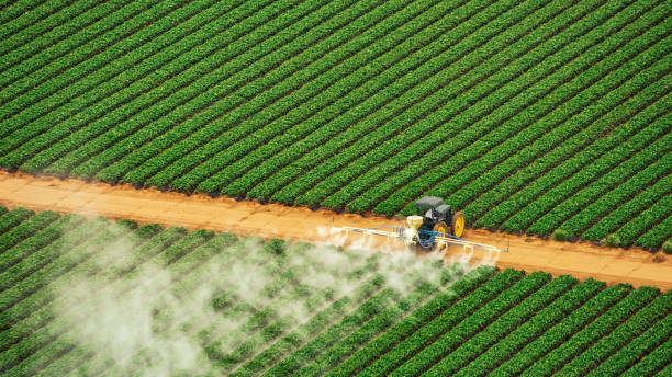 Best Mosquito Control Services  in Heyville, AL