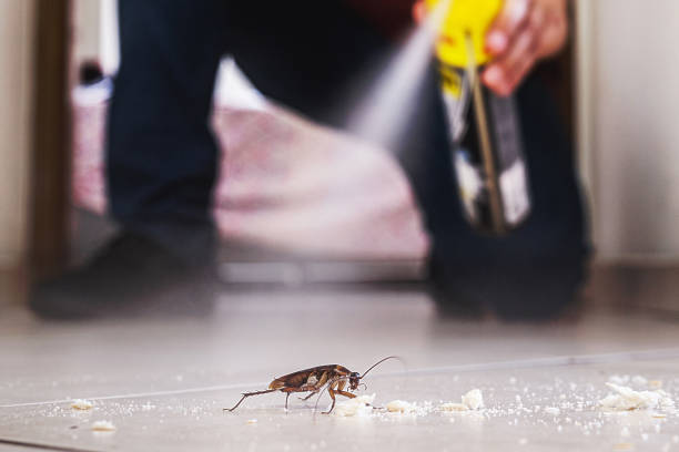 Best Wildlife Control Services  in Heyville, AL