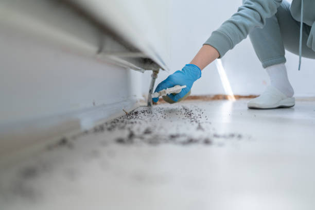 Best Pest Inspection Near Me  in Heyville, AL