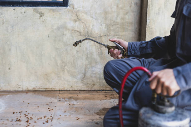 Best Affordable Pest Control Services  in Heyville, AL